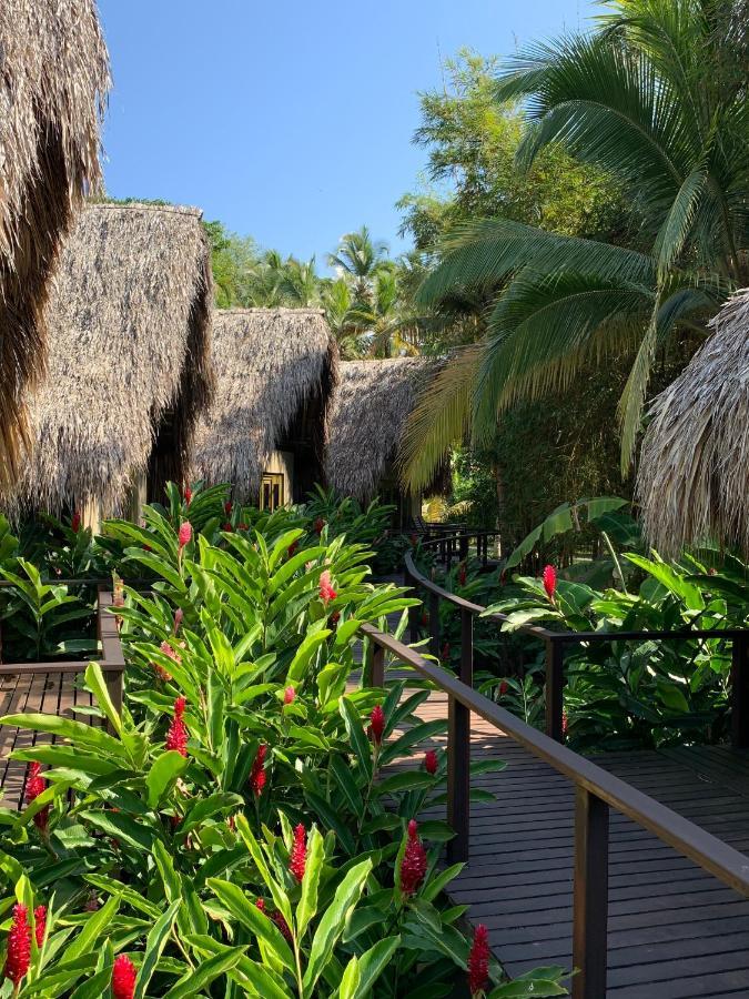 Casa Bambu Tayrona, Лос-Наранхос Екстер'єр фото