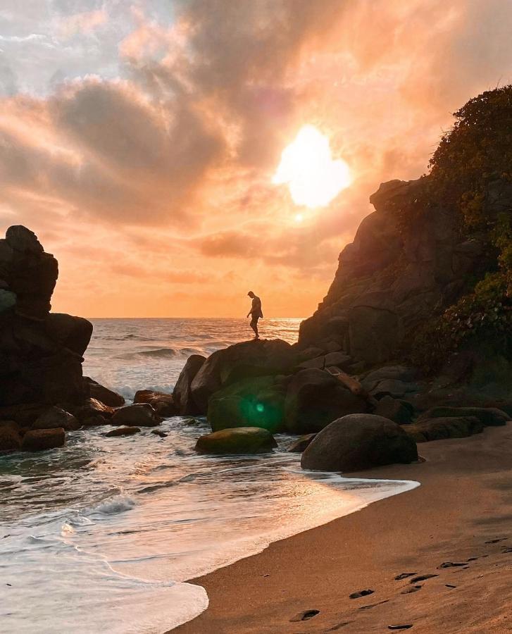 Casa Bambu Tayrona, Лос-Наранхос Екстер'єр фото
