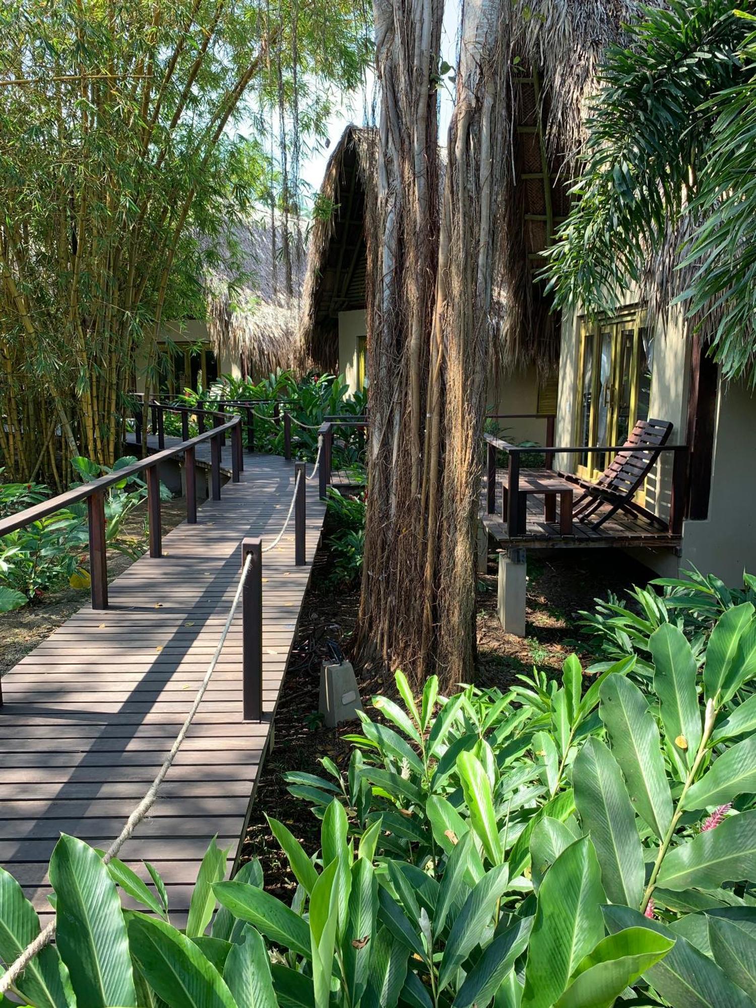 Casa Bambu Tayrona, Лос-Наранхос Екстер'єр фото
